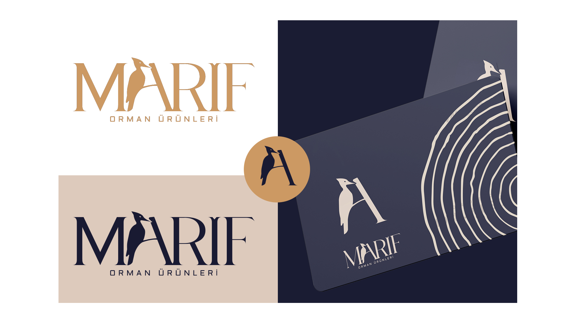 marif logo tasarımı